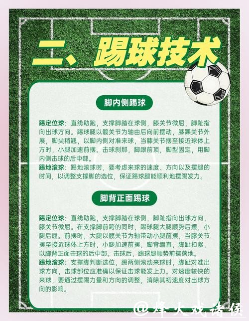 世界杯外围赛的安全与安保措施策略